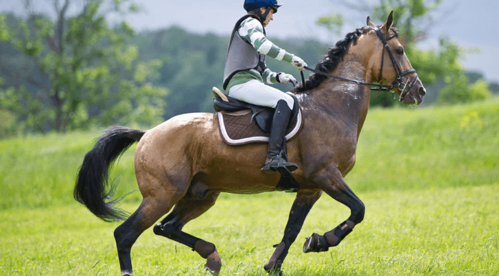 How can riders and horses build stamina for endurance races?