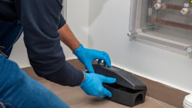 Safeguarding Your Home and Well-Being