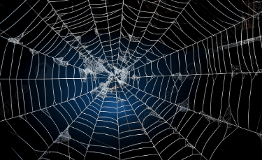 Clipart:2shtgesf9oy= Spiderweb