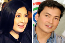 Sharon Cuneta Ex Husband: A Look at Her Past Relationship