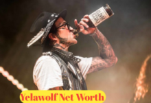 Yelawolf Net Worth: Rapper's Career and Wealth Breakdown