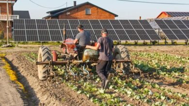 technological advancements influence growth