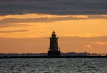 nightshade paralysis overview guide