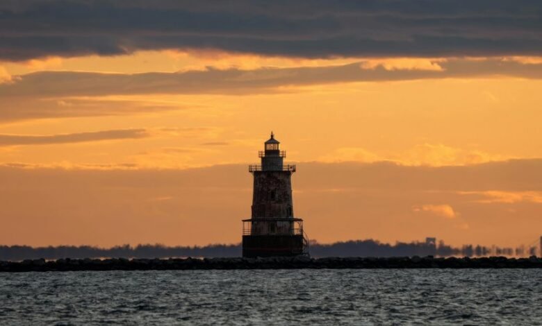 nightshade paralysis overview guide