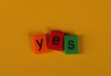 photo licensing terms guide