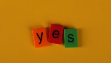 photo licensing terms guide