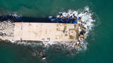 power bet 247 tips overview