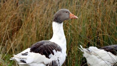 profile updates overview provided