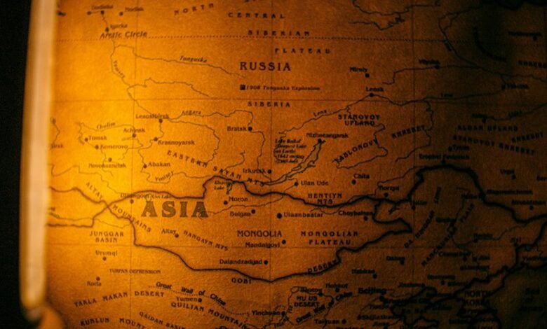 qualia collection services overview