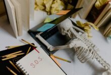 quemliga functionality and details