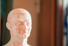 holistic number reference control