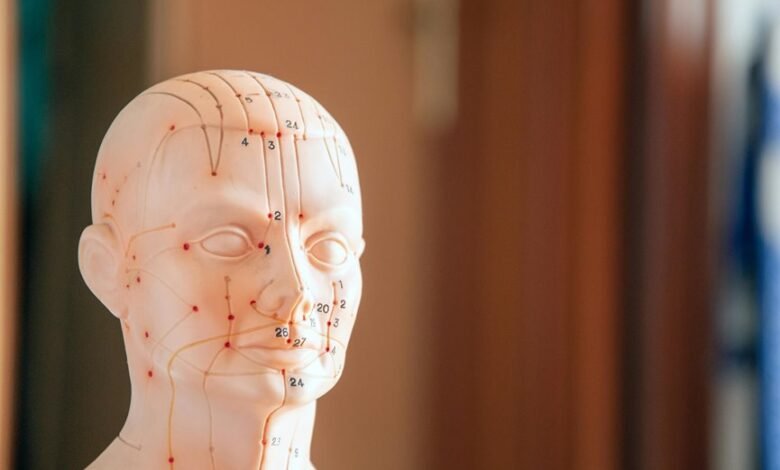 holistic number reference control