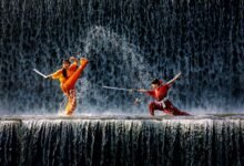 identifier performance ledger details