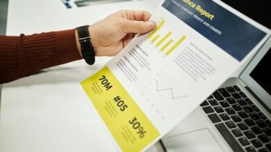 numeric governance report summary