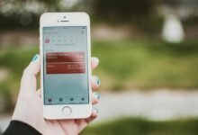 registry logs and tracking